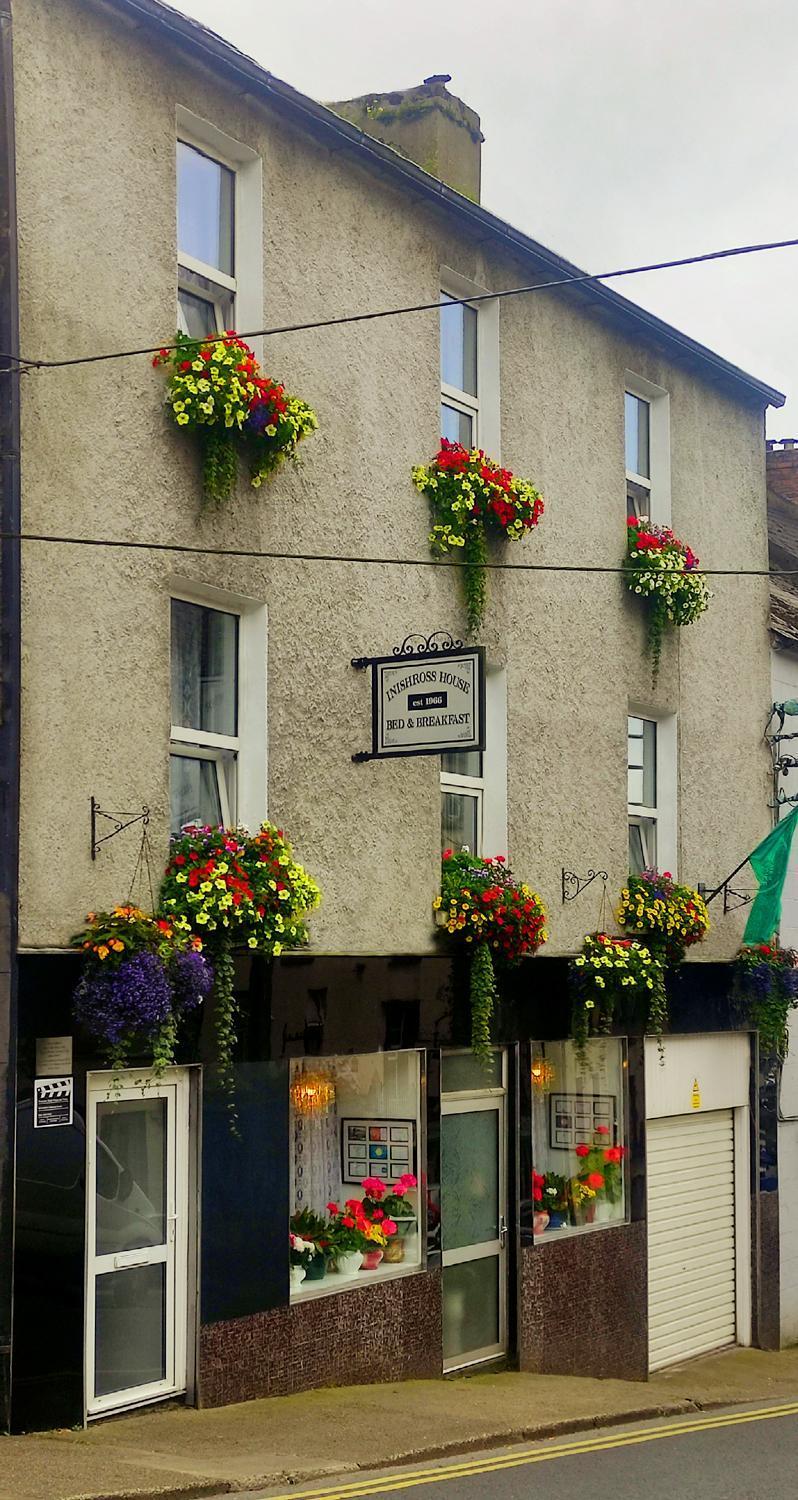 Bed and Breakfast Inishross House New Ross Esterno foto